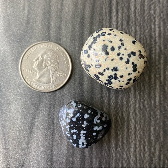 ❄️ Snowflake Obsidian / Dalmatian Jasper Tumbles 💎 - Picture 3 of 3